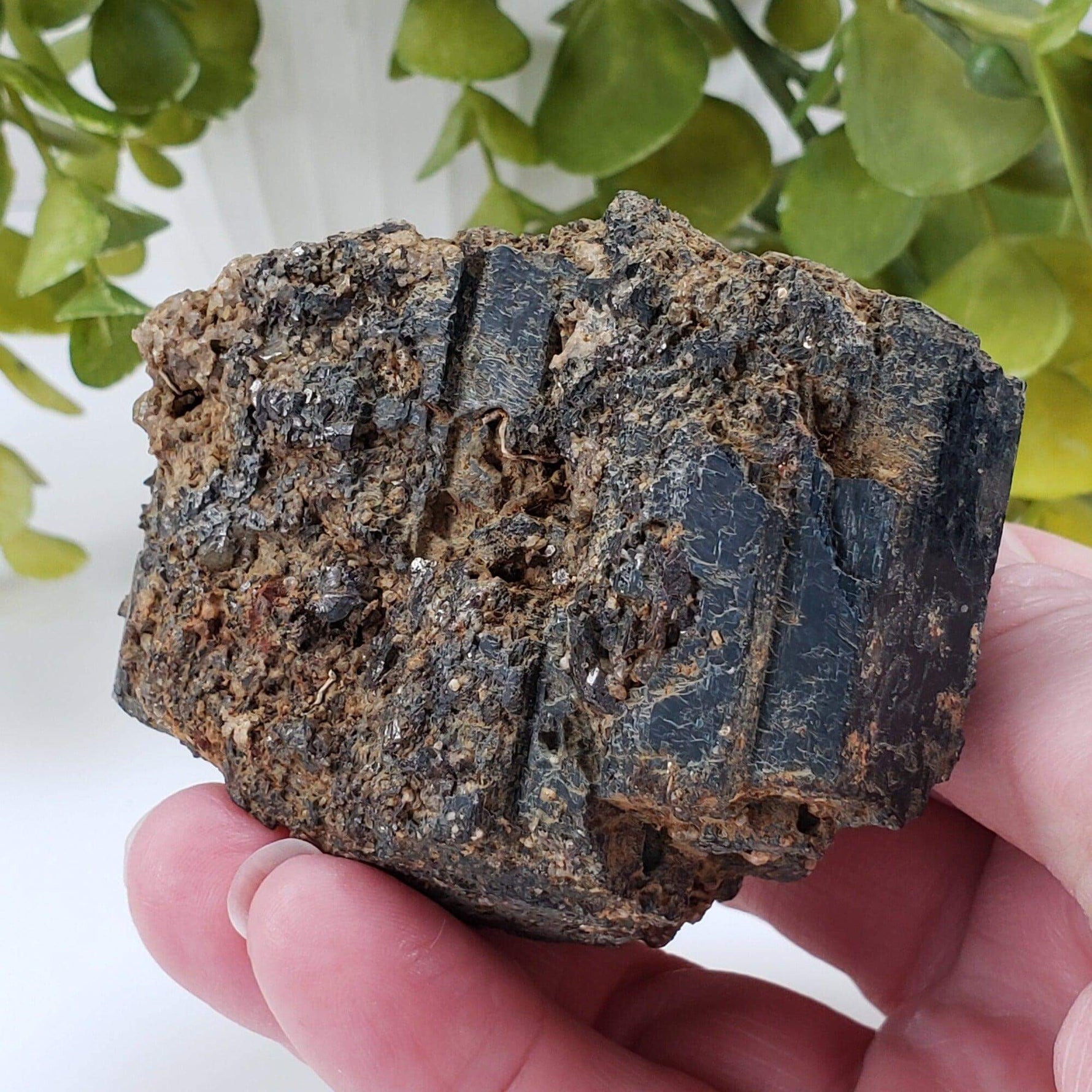  Natural Hornblende | Raw Crystal | 264.4 grams | Tory Hill, Ontario Canada | SO24 1