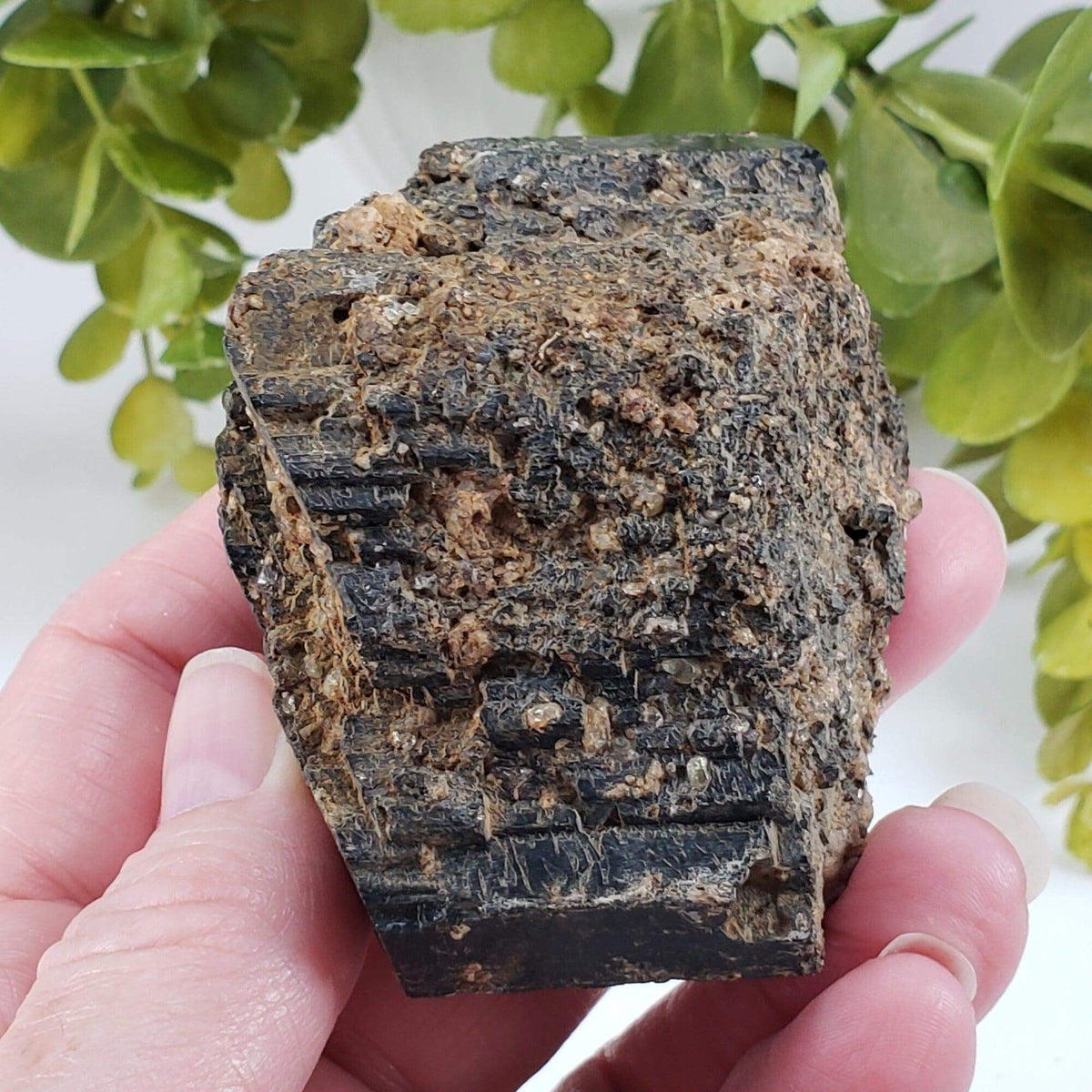  Natural Hornblende | Raw Crystal | 264.4 grams | Tory Hill, Ontario Canada | SO24 2