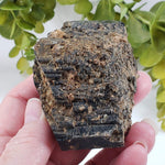  Natural Hornblende | Raw Crystal | 264.4 grams | Tory Hill, Ontario Canada | SO24 2