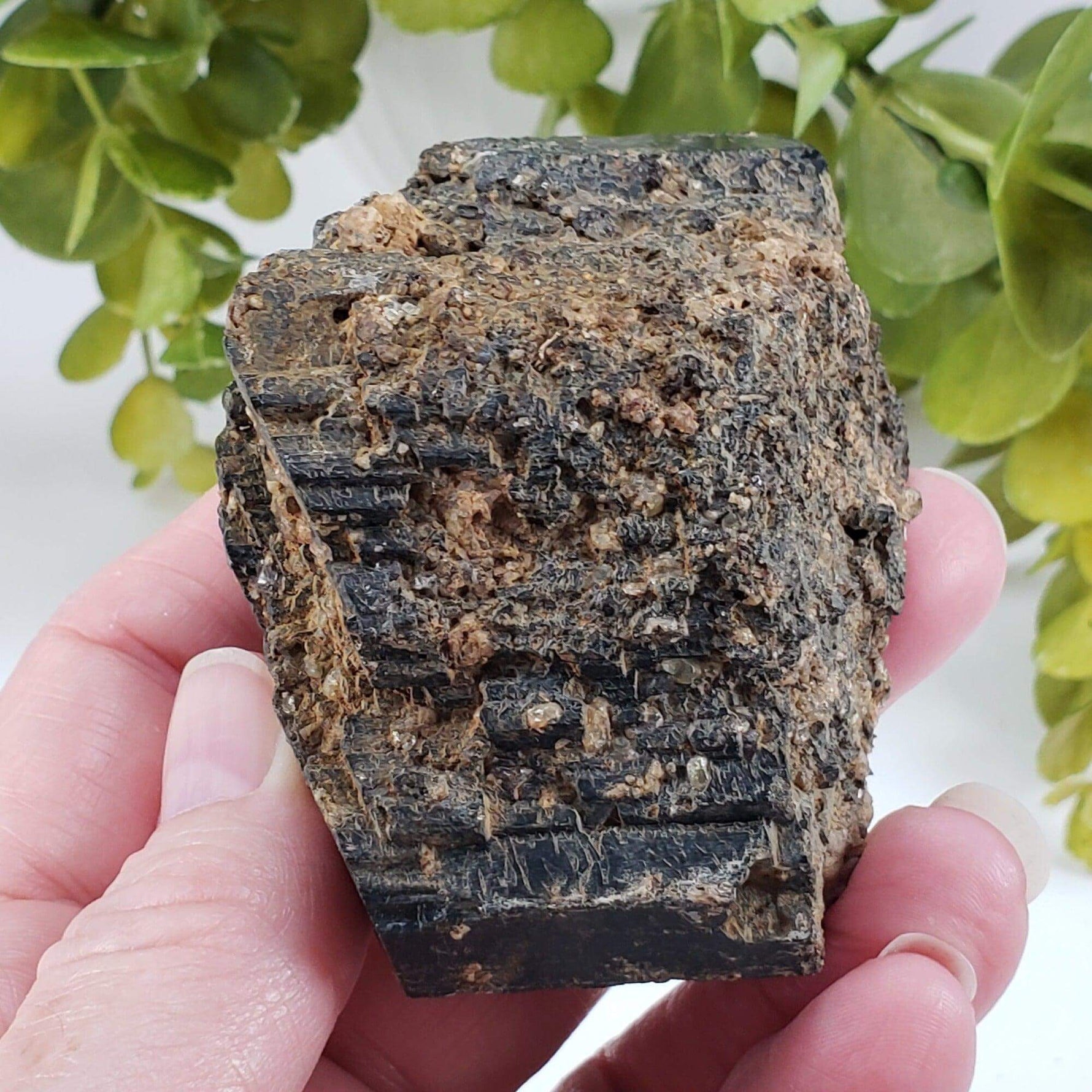  Natural Hornblende | Raw Crystal | 264.4 grams | Tory Hill, Ontario Canada | SO24 2