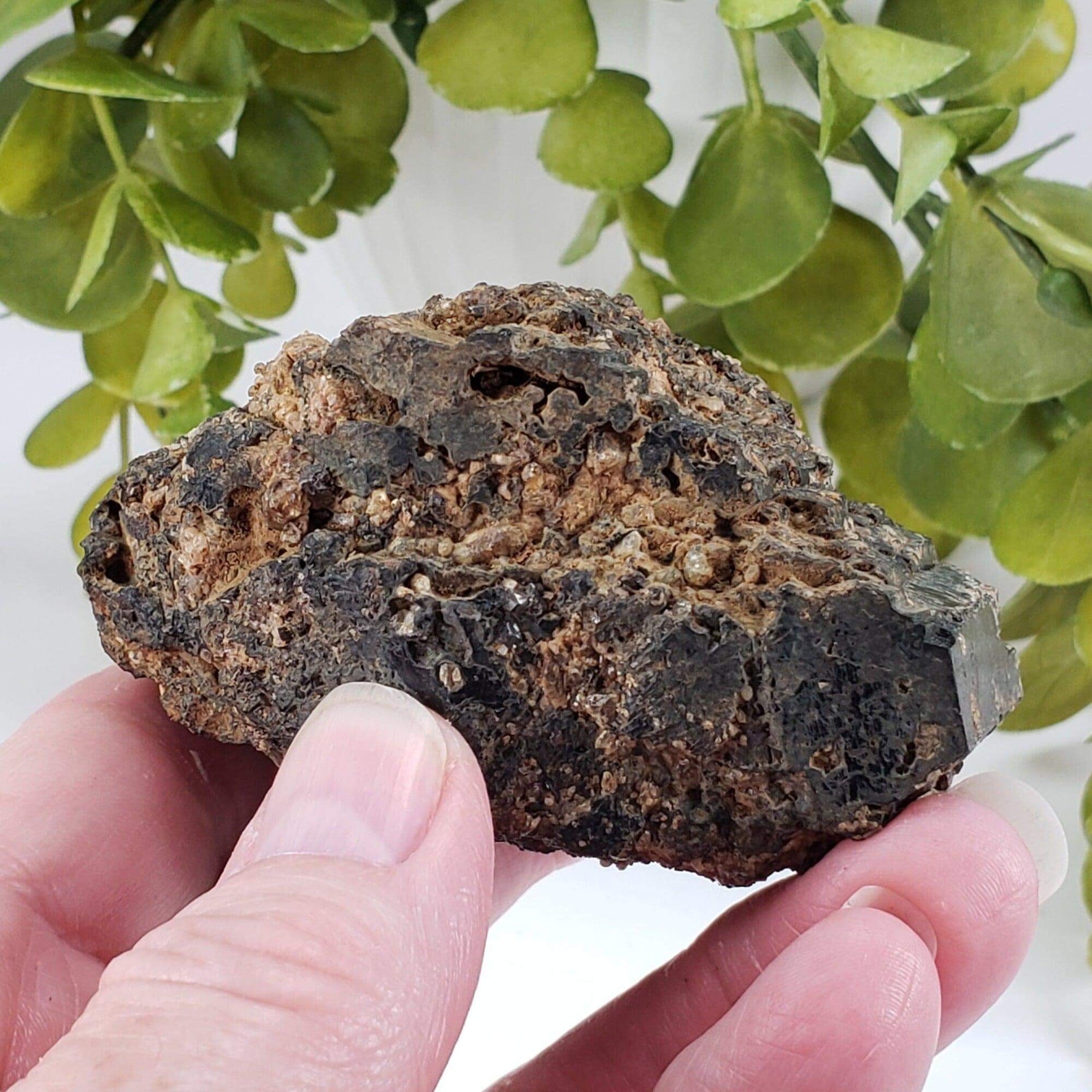  Natural Hornblende | Raw Crystal | 264.4 grams | Tory Hill, Ontario Canada | SO24 3