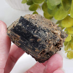  Natural Hornblende | Raw Crystal | 264.4 grams | Tory Hill, Ontario Canada | SO24 4