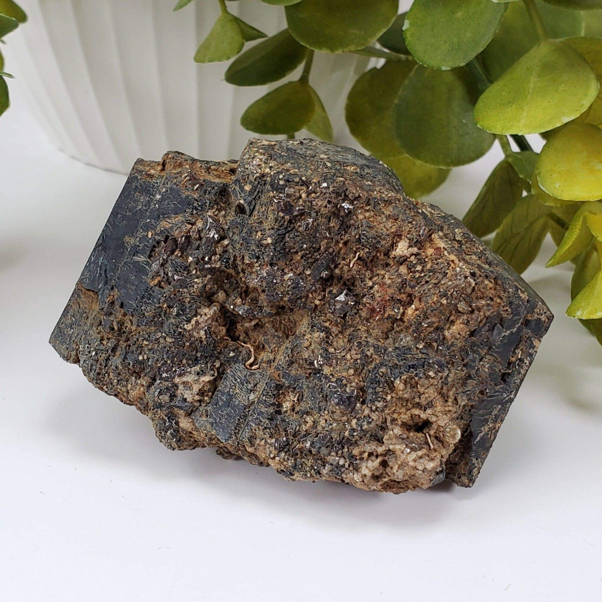  Natural Hornblende | Raw Crystal | 264.4 grams | Tory Hill, Ontario Canada | SO24 8