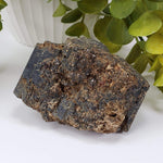  Natural Hornblende | Raw Crystal | 264.4 grams | Tory Hill, Ontario Canada | SO24 8