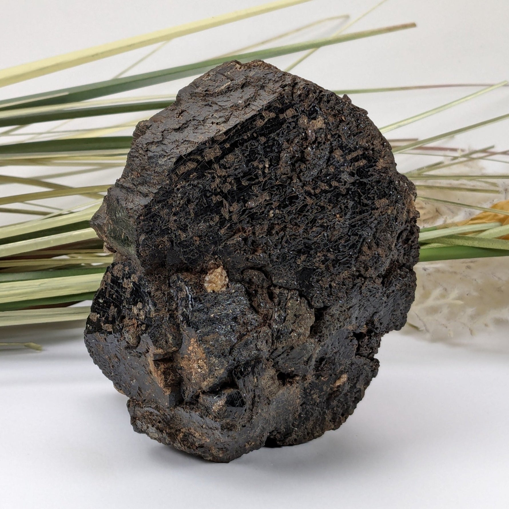  Natural Hornblende | Raw Crystal | 873 grams | Tory Hill, Ontario Canada 2