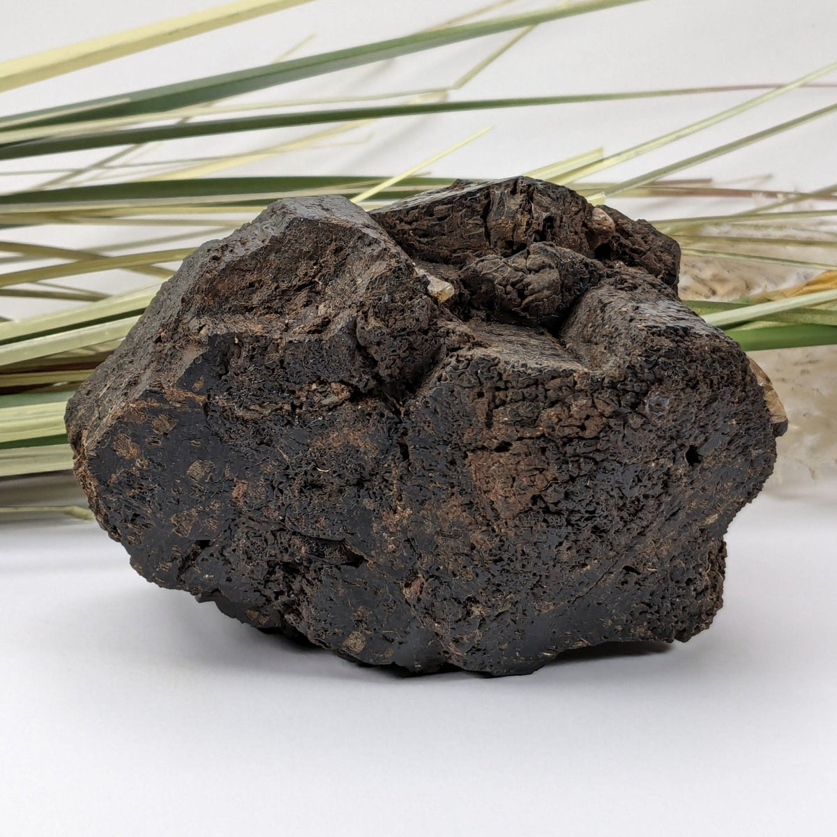  Natural Hornblende | Raw Crystal | 873 grams | Tory Hill, Ontario Canada 5