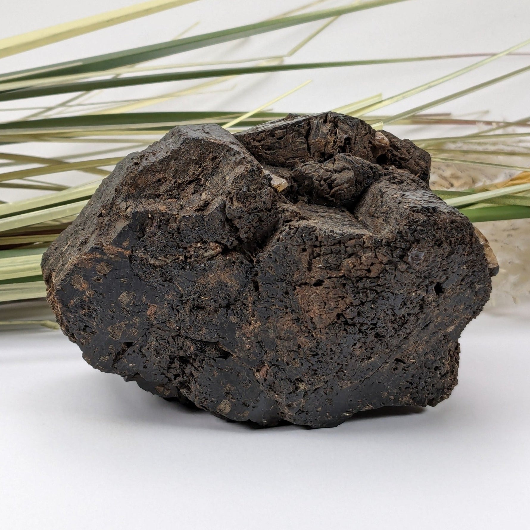  Natural Hornblende | Raw Crystal | 873 grams | Tory Hill, Ontario Canada 5