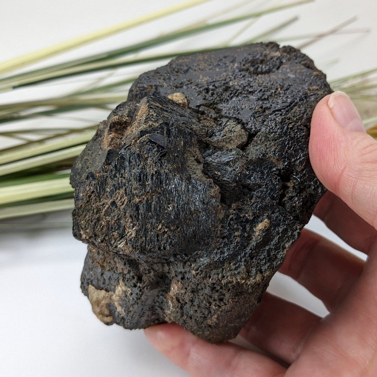  Natural Hornblende | Raw Crystal | 873 grams | Tory Hill, Ontario Canada 7