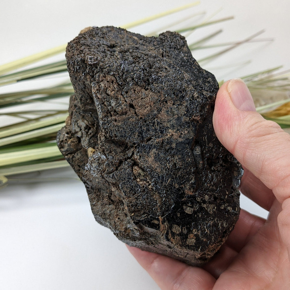  Natural Hornblende | Raw Crystal | 873 grams | Tory Hill, Ontario Canada 8