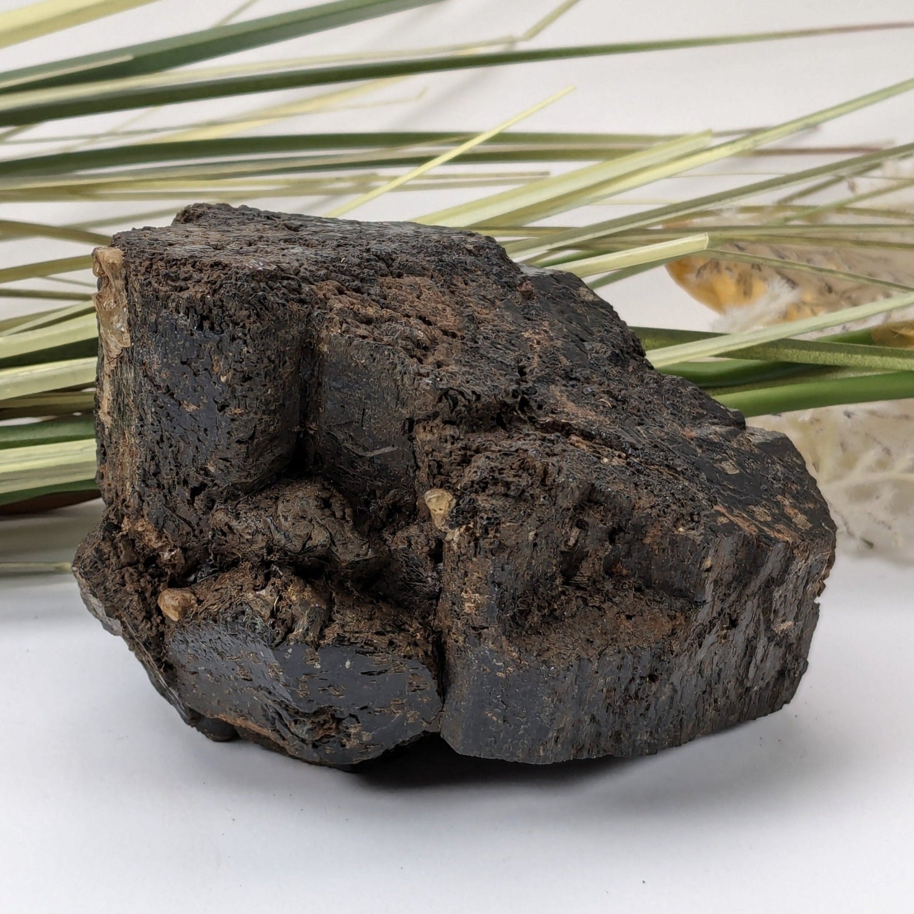  Natural Hornblende | Raw Crystal | 873 grams | Tory Hill, Ontario Canada 9