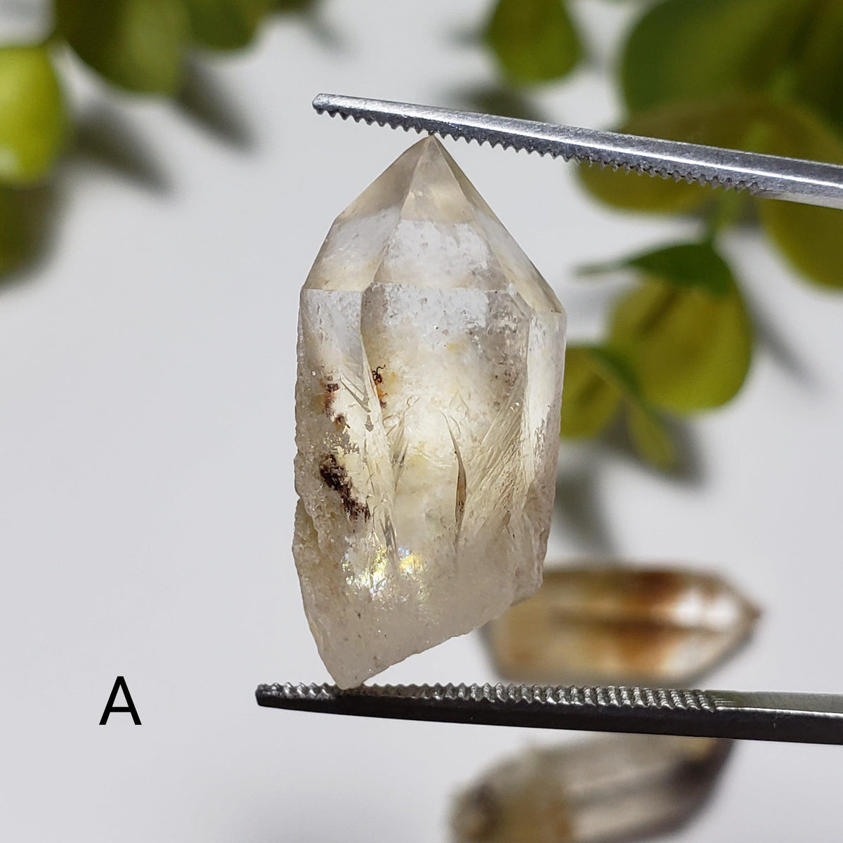 Natural Included Quartz Points | Terminated Quartz | 23 - 24 mm | Brazil - Canagem.com