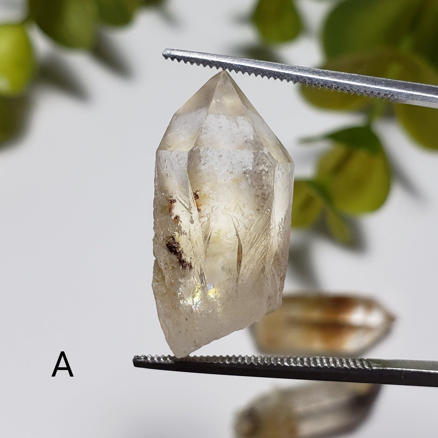 Natural Included Quartz Points | Terminated Quartz | 23 - 24 mm | Brazil - Canagem.com