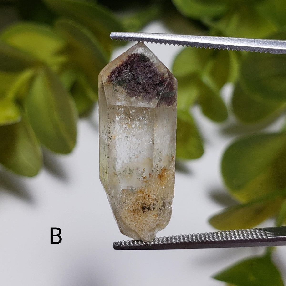 Natural Included Quartz Points | Terminated Quartz | 23 - 24 mm | Brazil - Canagem.com