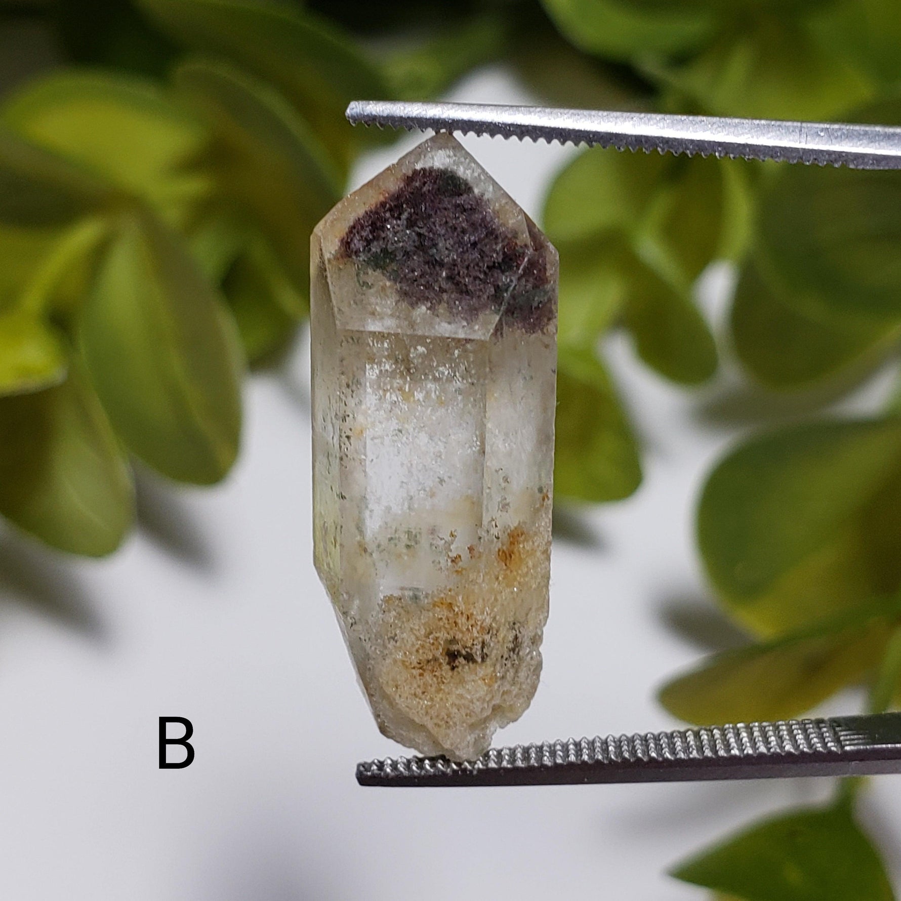 Natural Included Quartz Points | Terminated Quartz | 23 - 24 mm | Brazil - Canagem.com