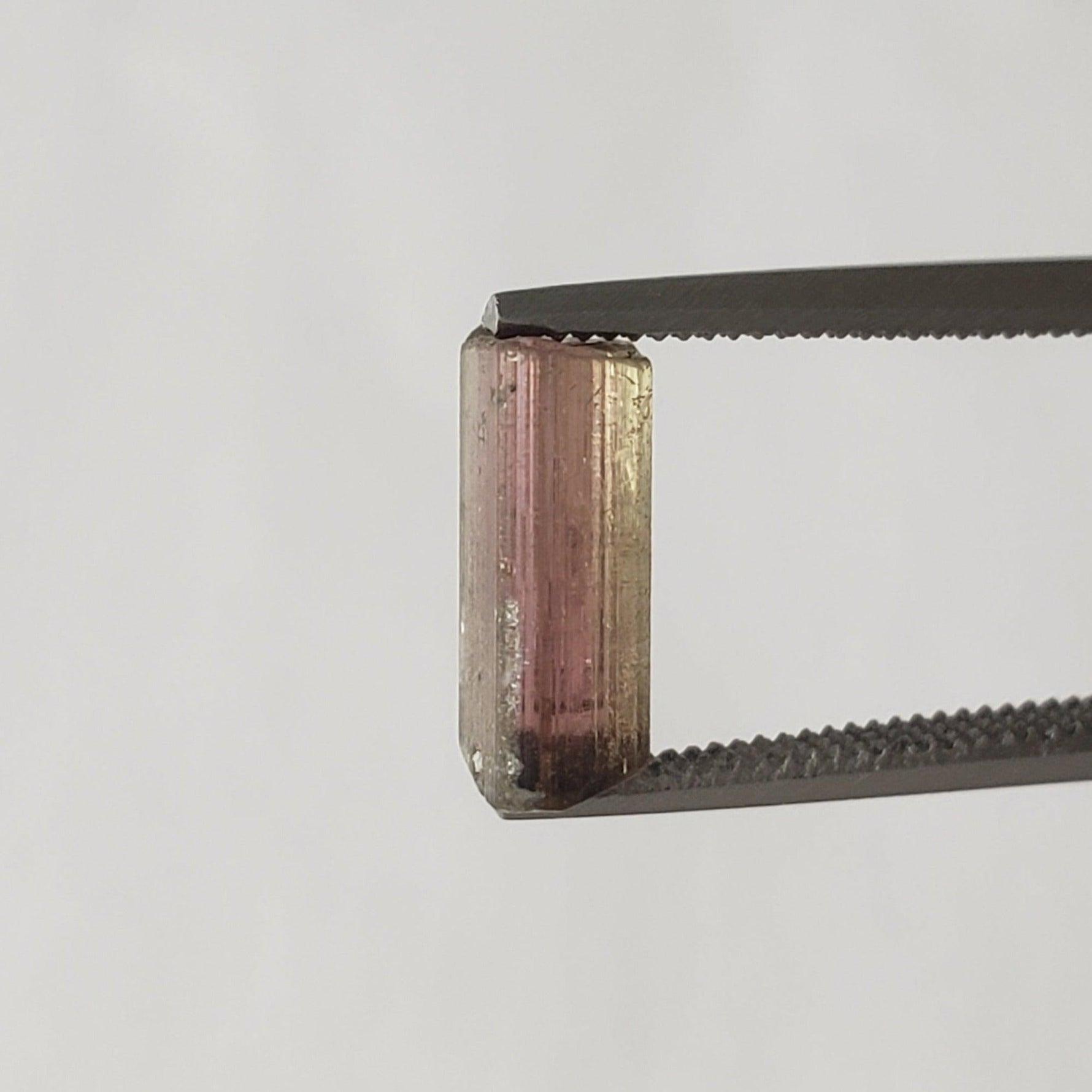  Natural Pink and Green Tourmaline Crystal | Raw Tourmaline | 9.2x5.5mm 1.8ct | SO24 4