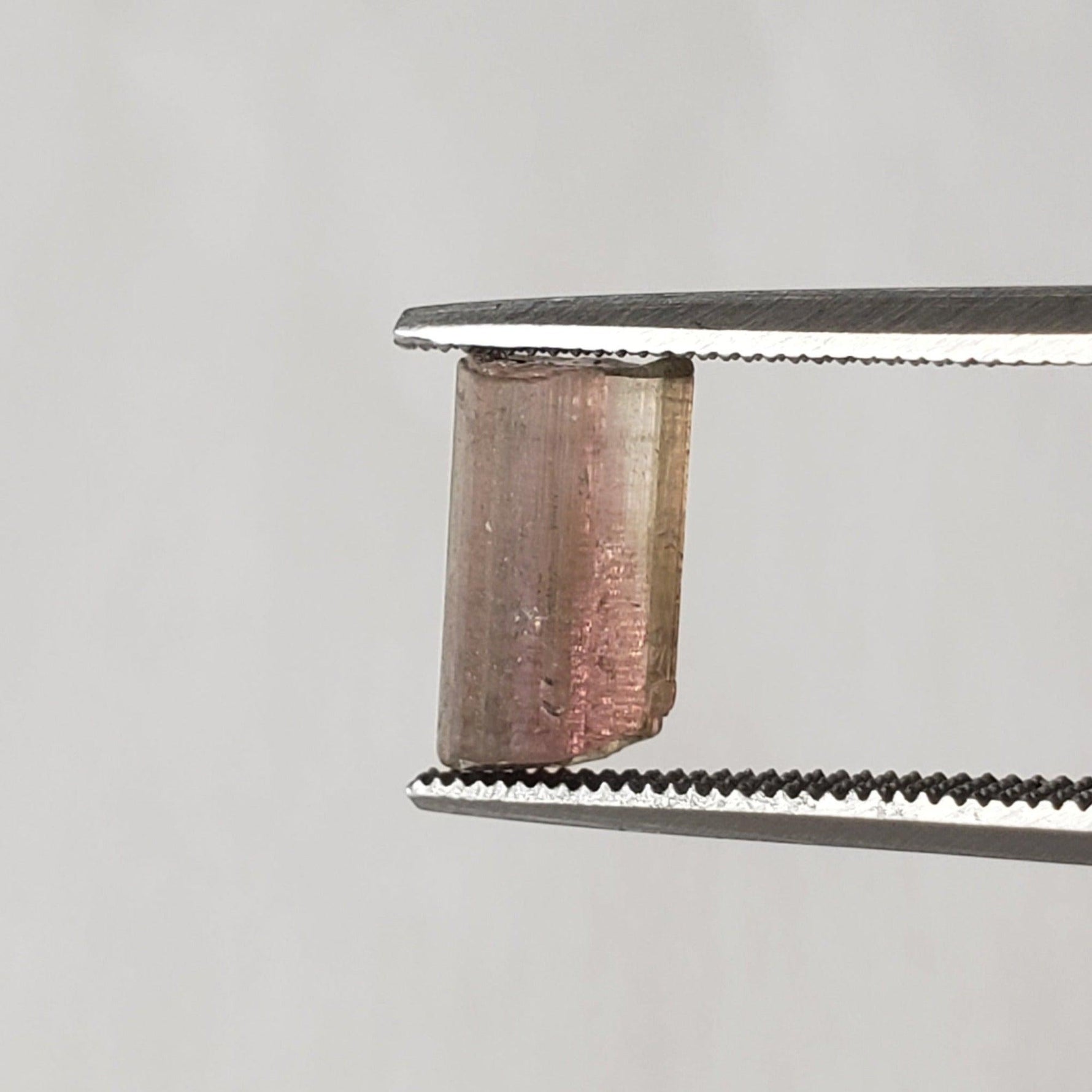  Natural Pink and Green Tourmaline Crystal | Raw Tourmaline | 9.2x5.5mm 1.8ct | SO24 5