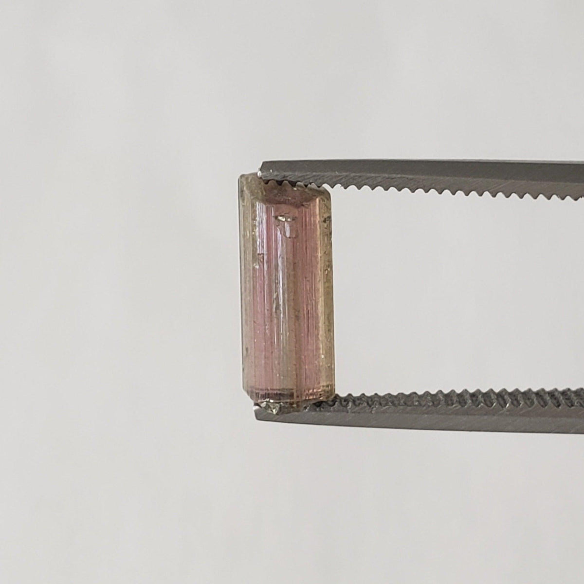  Natural Pink and Green Tourmaline Crystal | Raw Tourmaline | 9.2x5.5mm 1.8ct | SO24 6