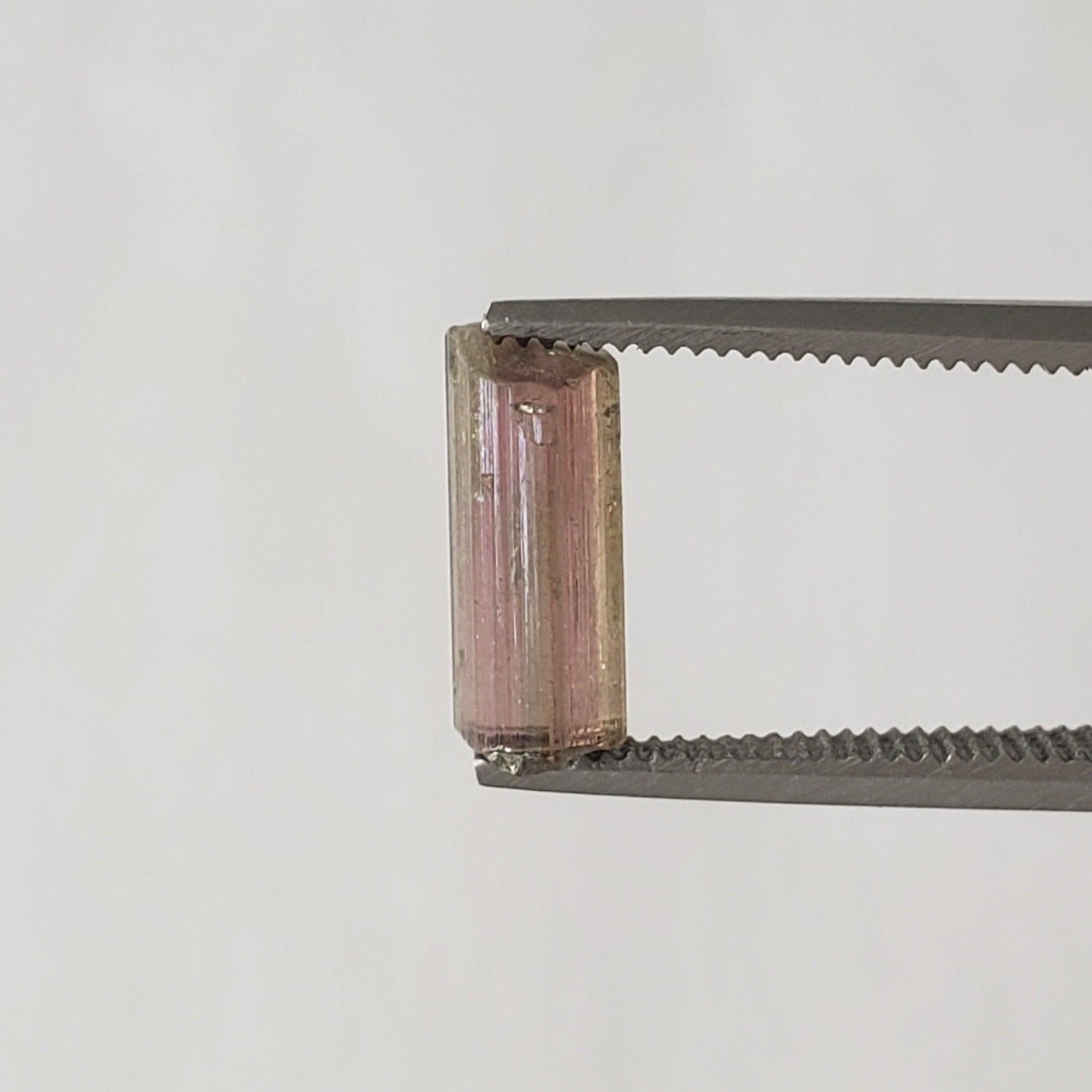  Natural Pink and Green Tourmaline Crystal | Raw Tourmaline | 9.2x5.5mm 1.8ct | SO24 6