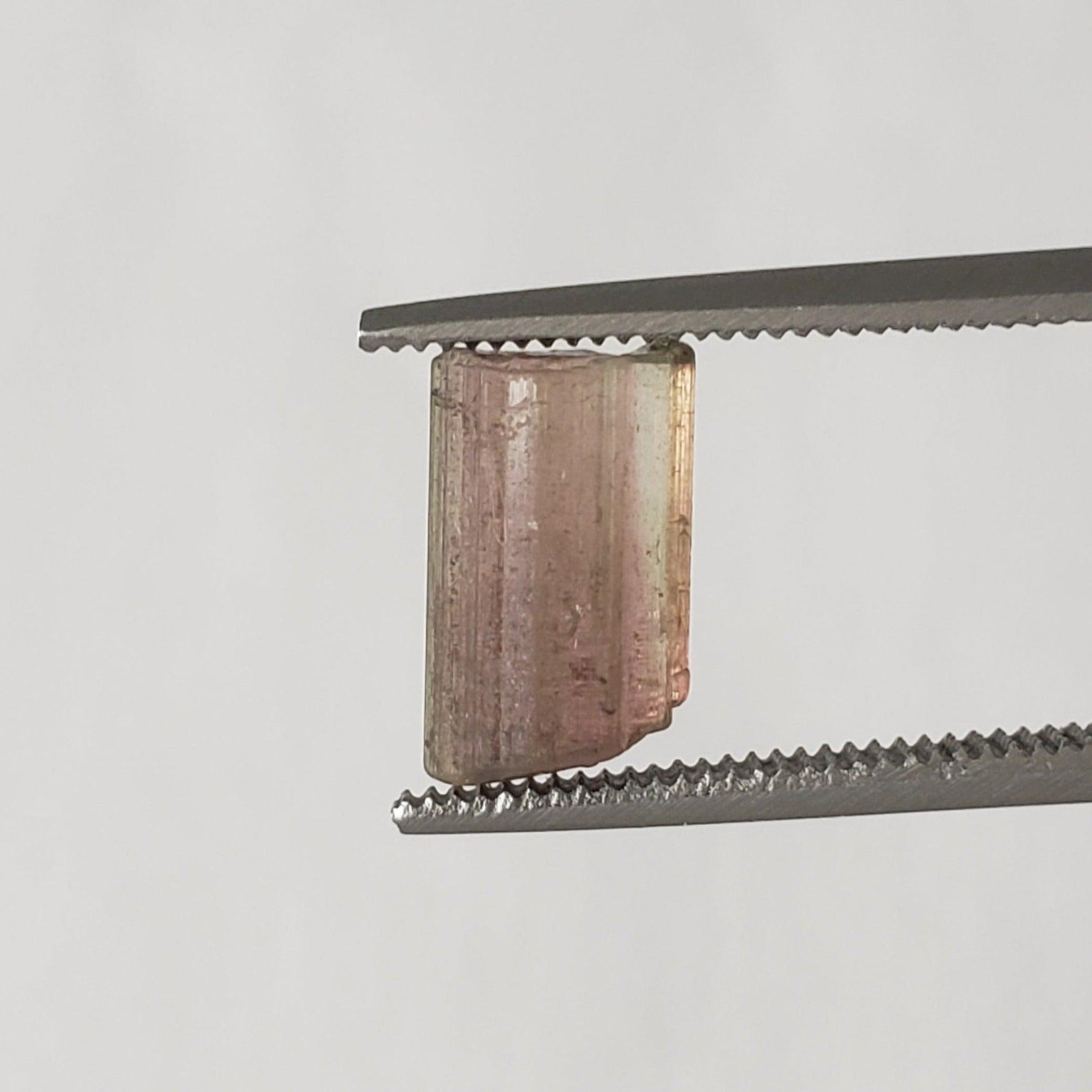  Natural Pink and Green Tourmaline Crystal | Raw Tourmaline | 9.2x5.5mm 1.8ct | SO24 8