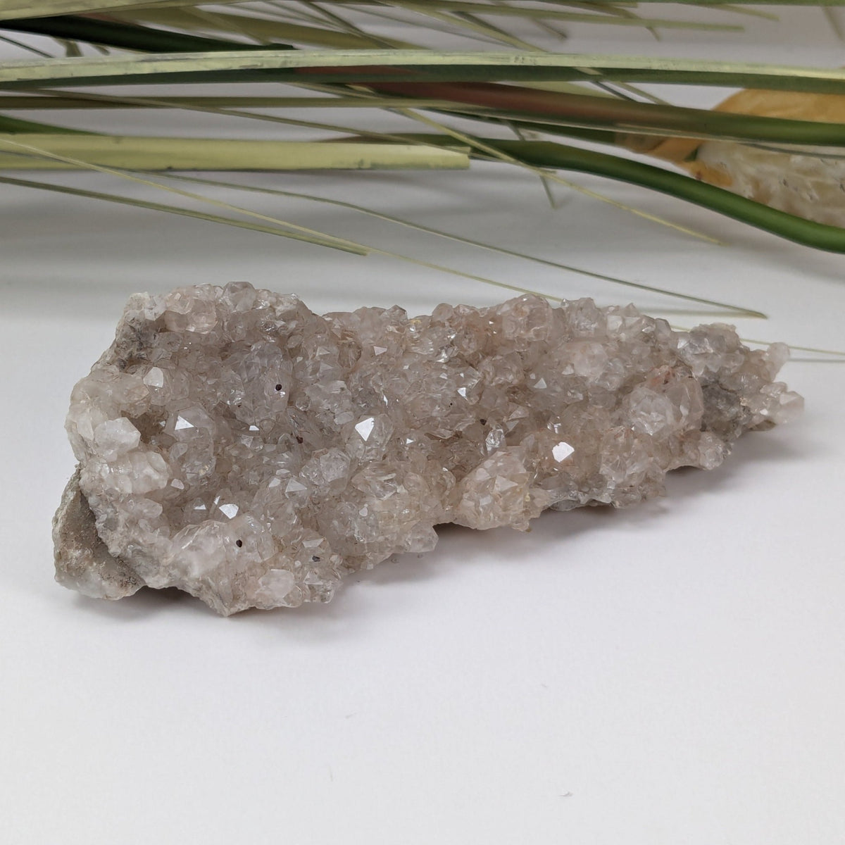  Natural Quartz Crystal | 129.4 Grams | Miners Bay, Ontario Canada 2