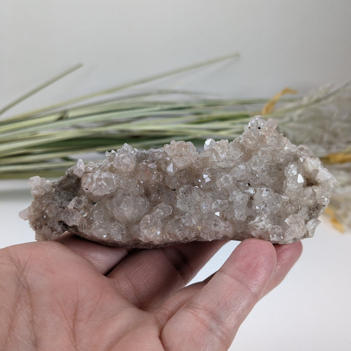  Natural Quartz Crystal | 129.4 Grams | Miners Bay, Ontario Canada 3