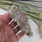  Natural Quartz Crystal | 129.4 Grams | Miners Bay, Ontario Canada 4