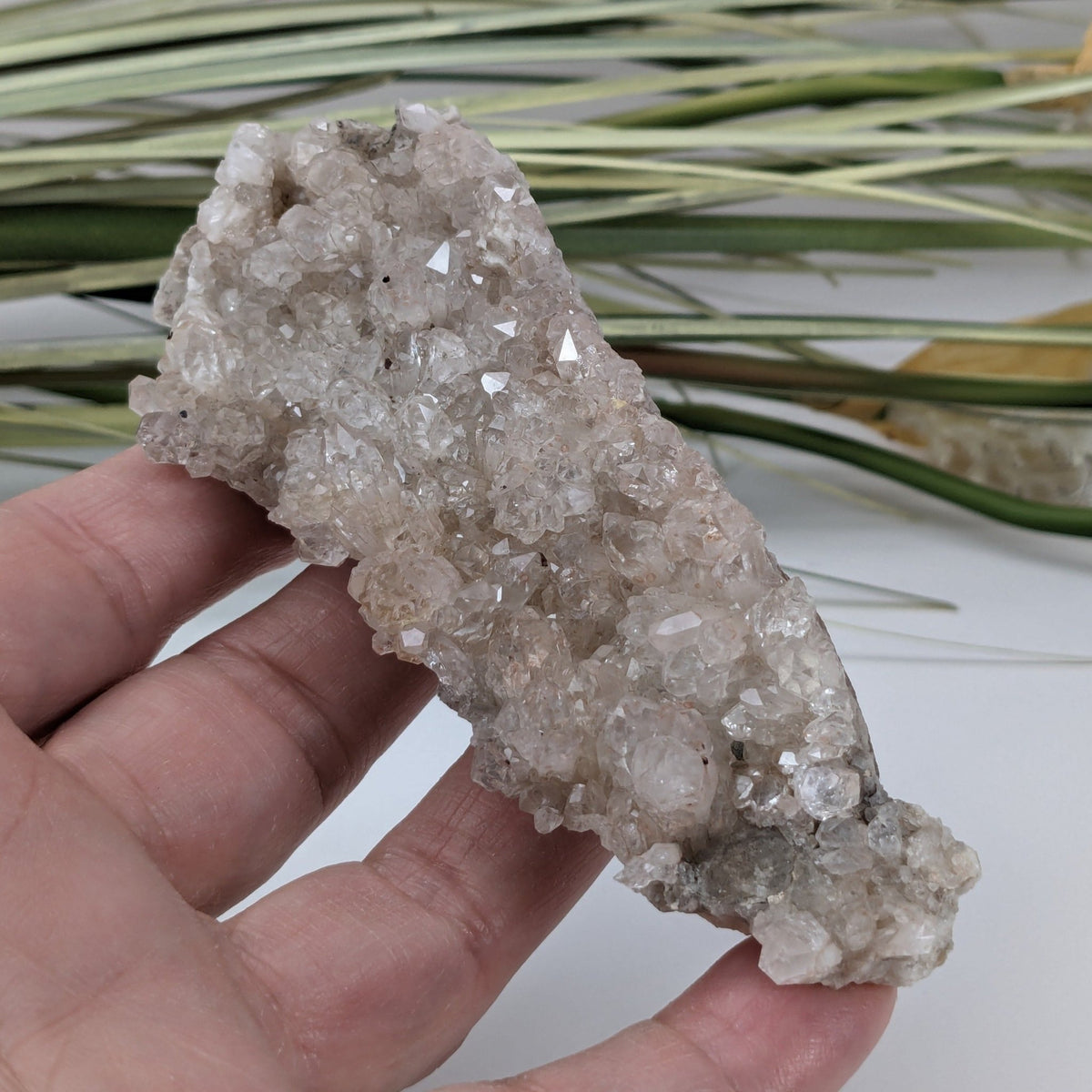  Natural Quartz Crystal | 129.4 Grams | Miners Bay, Ontario Canada 