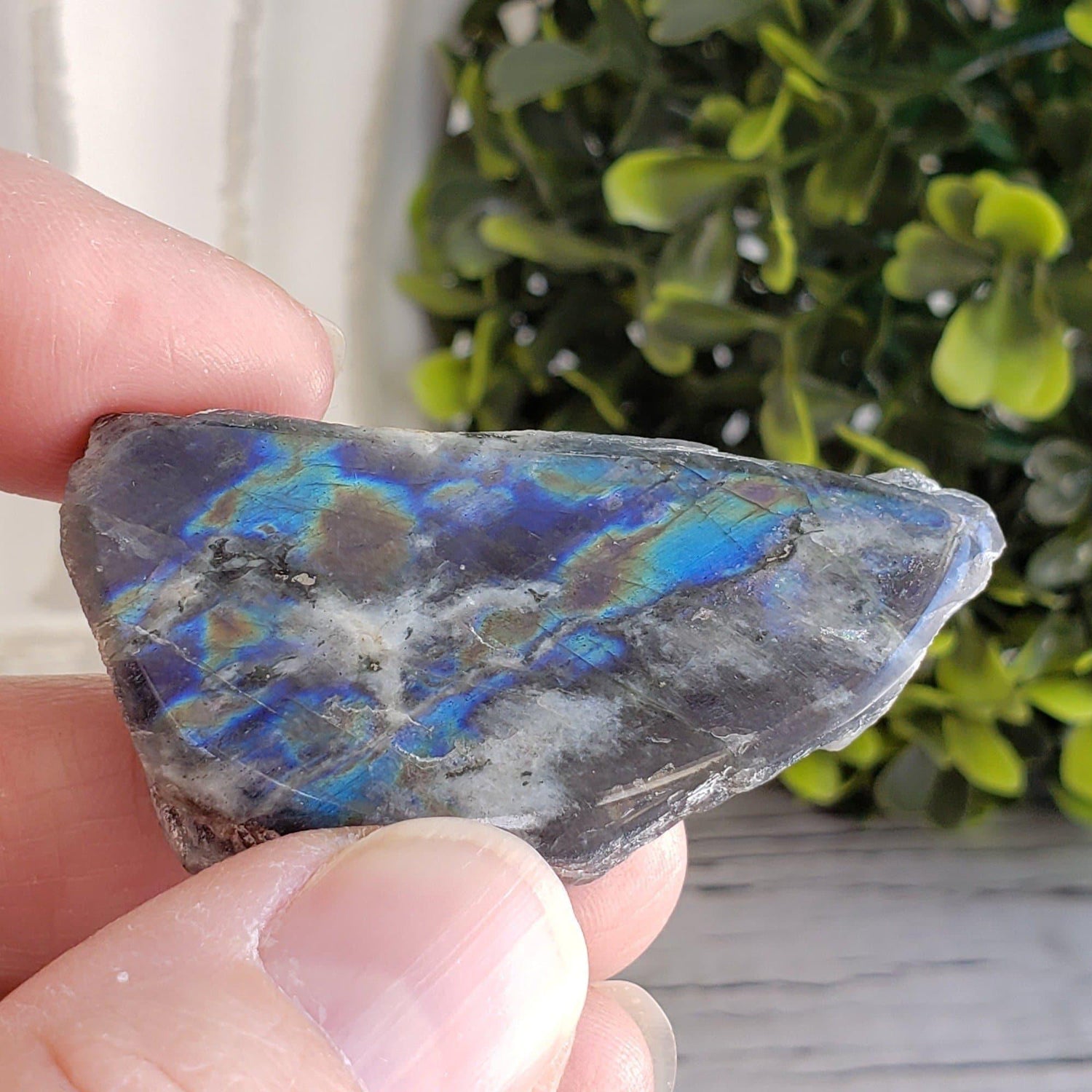  Natural Rainbow Authentic Labradorite Polished Flat Stone Crystal, Labrador Canada | SO24 