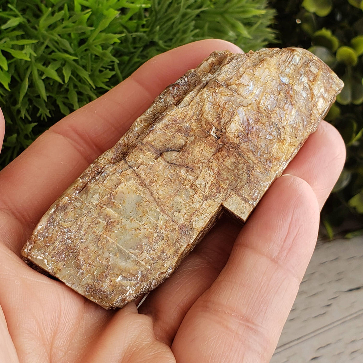  Natural Rainbow Spectrolite Polished and Rough Flat Stone Crystal, Marathon Ontario | SO24 3