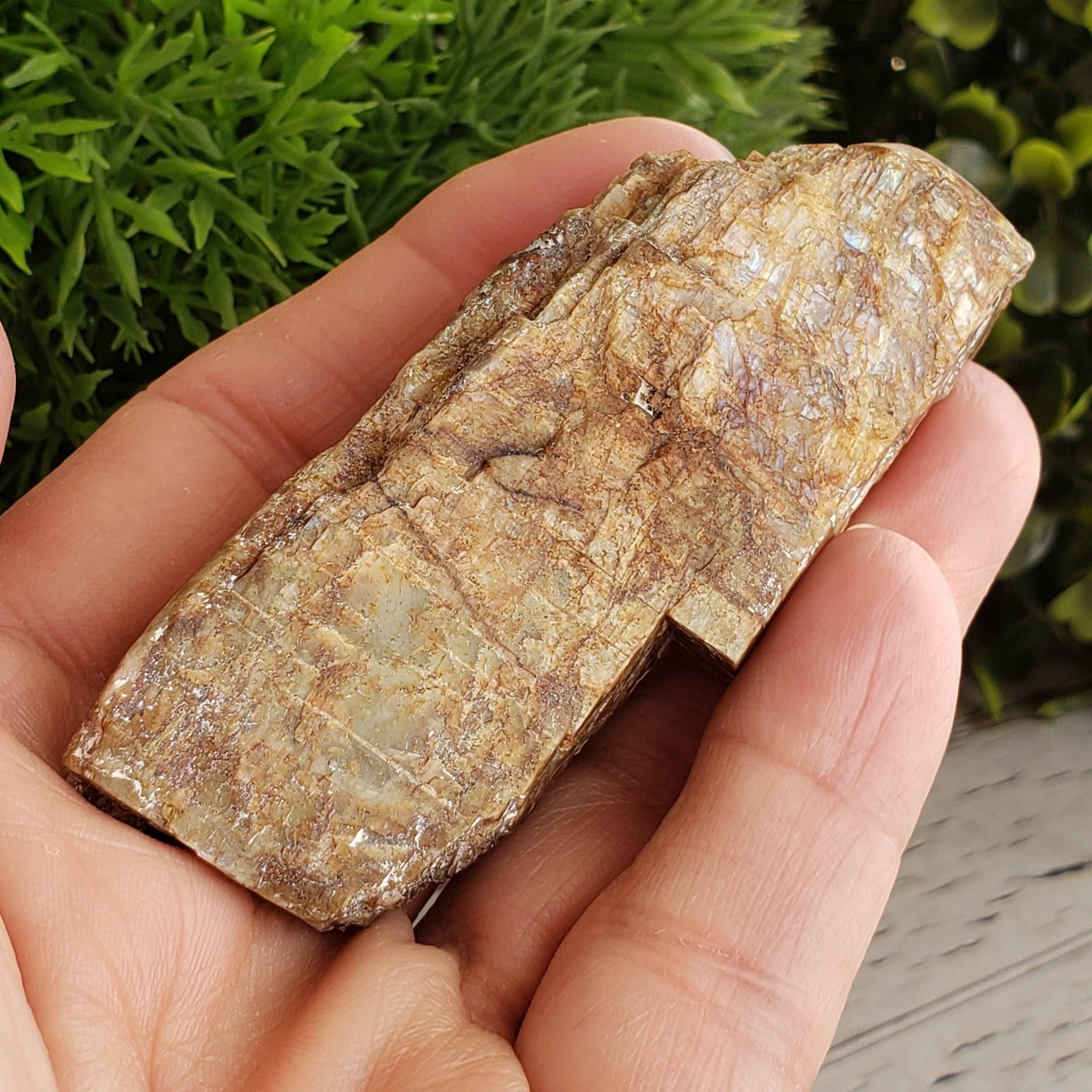  Natural Rainbow Spectrolite Polished and Rough Flat Stone Crystal, Marathon Ontario | SO24 3