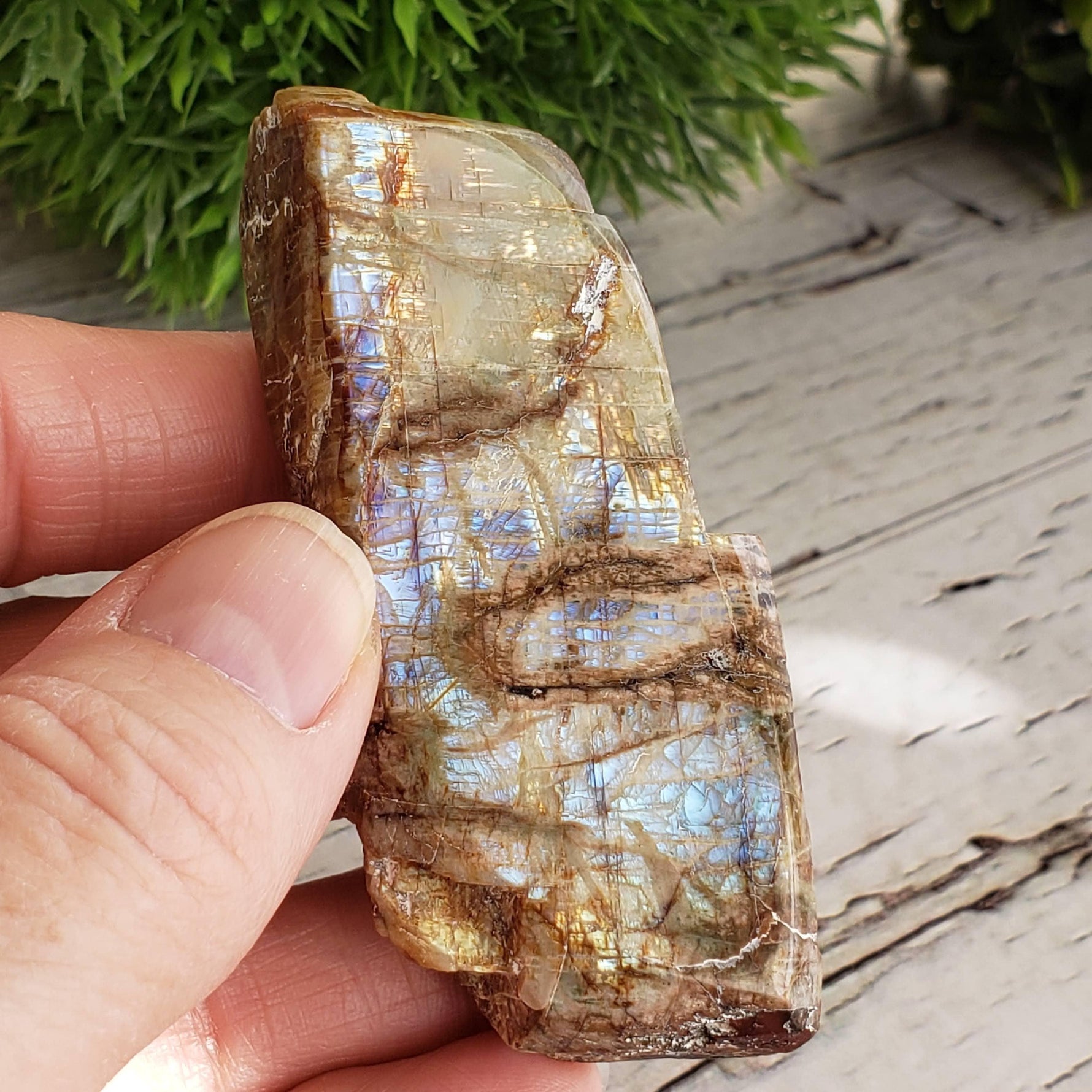  Natural Rainbow Spectrolite Polished and Rough Flat Stone Crystal, Marathon Ontario | SO24 1