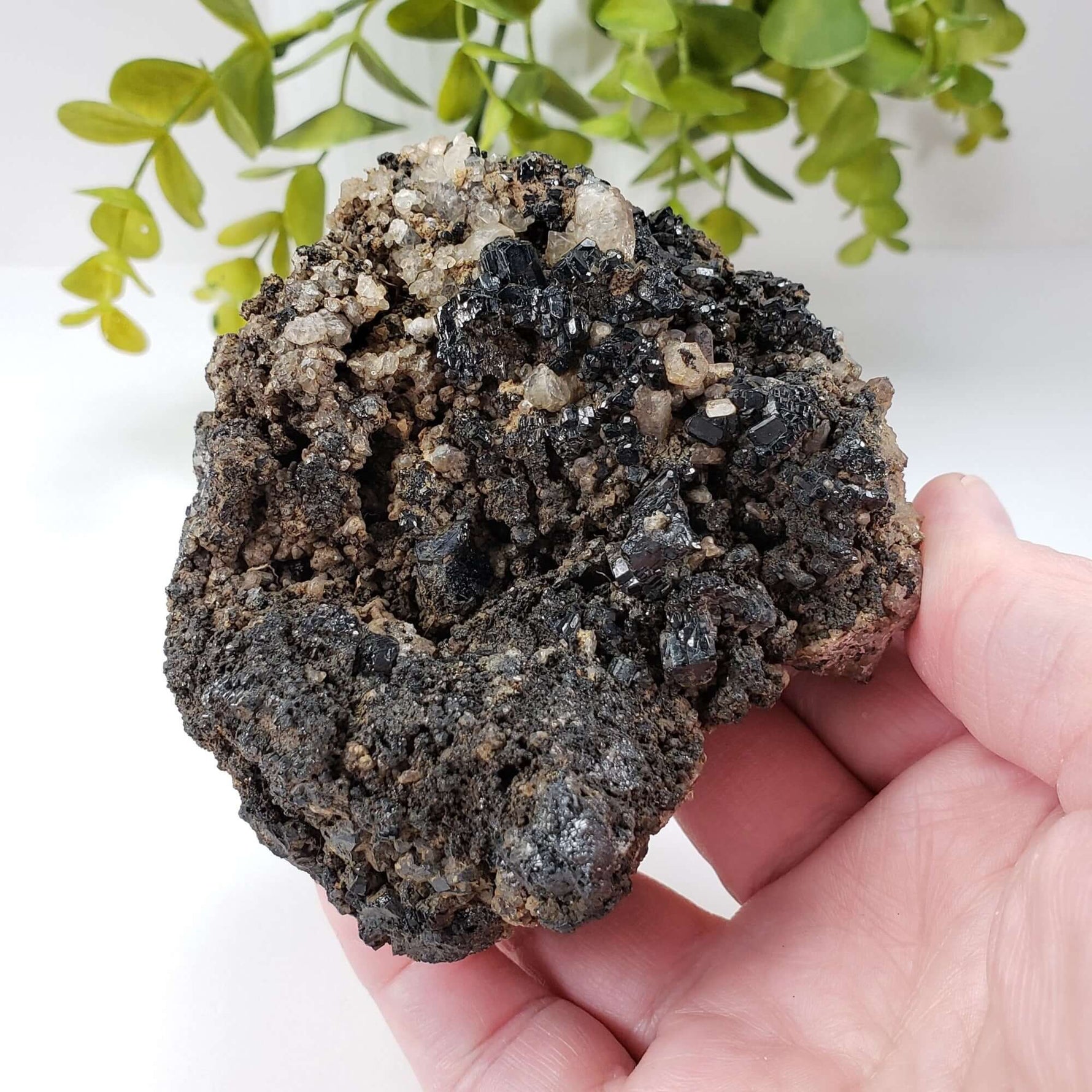  Natural Tourmaline | Raw Tourmaline Crystal | 352 grams | Tait Farm, Bancroft, Ontario Canada | SO24 2