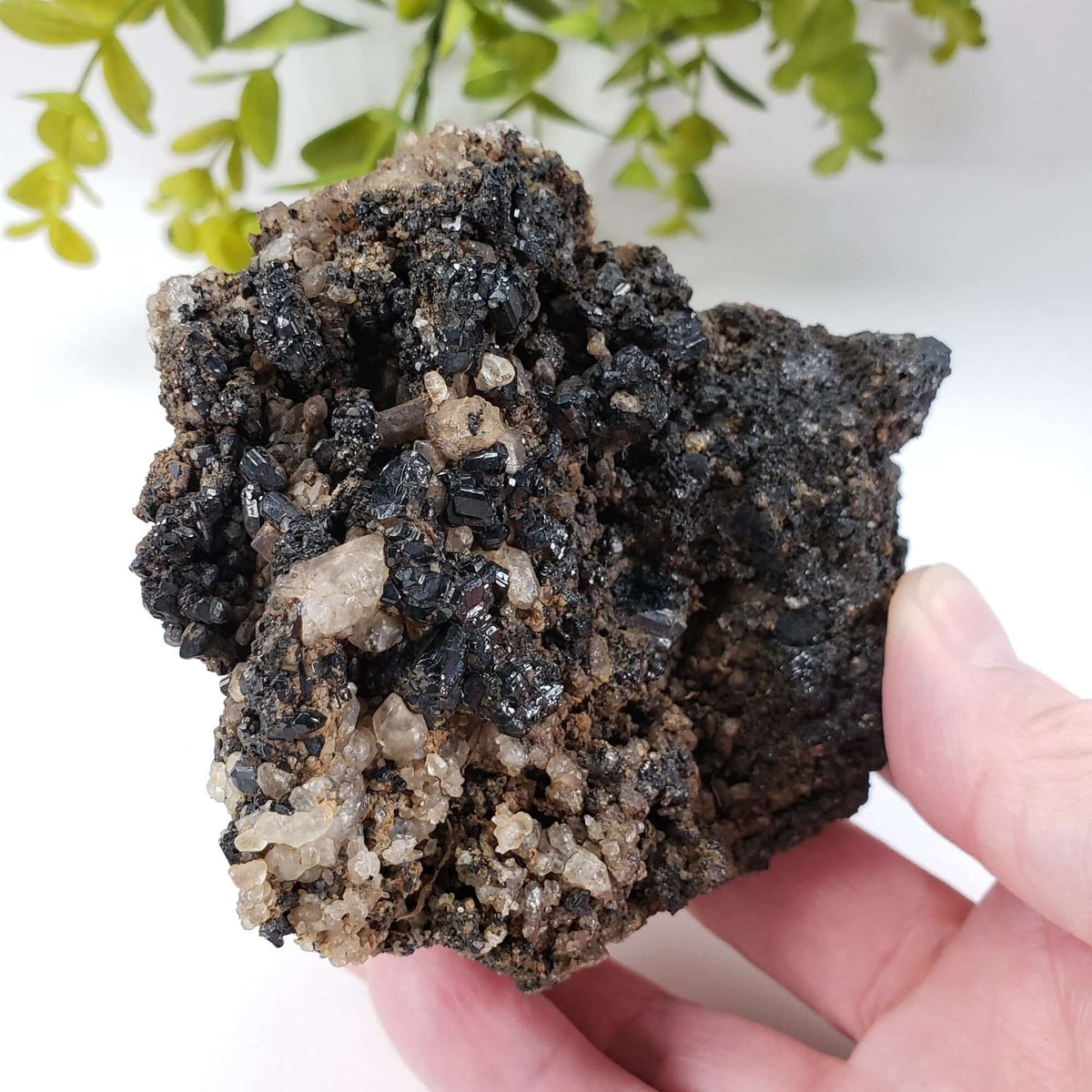  Natural Tourmaline | Raw Tourmaline Crystal | 352 grams | Tait Farm, Bancroft, Ontario Canada | SO24 3