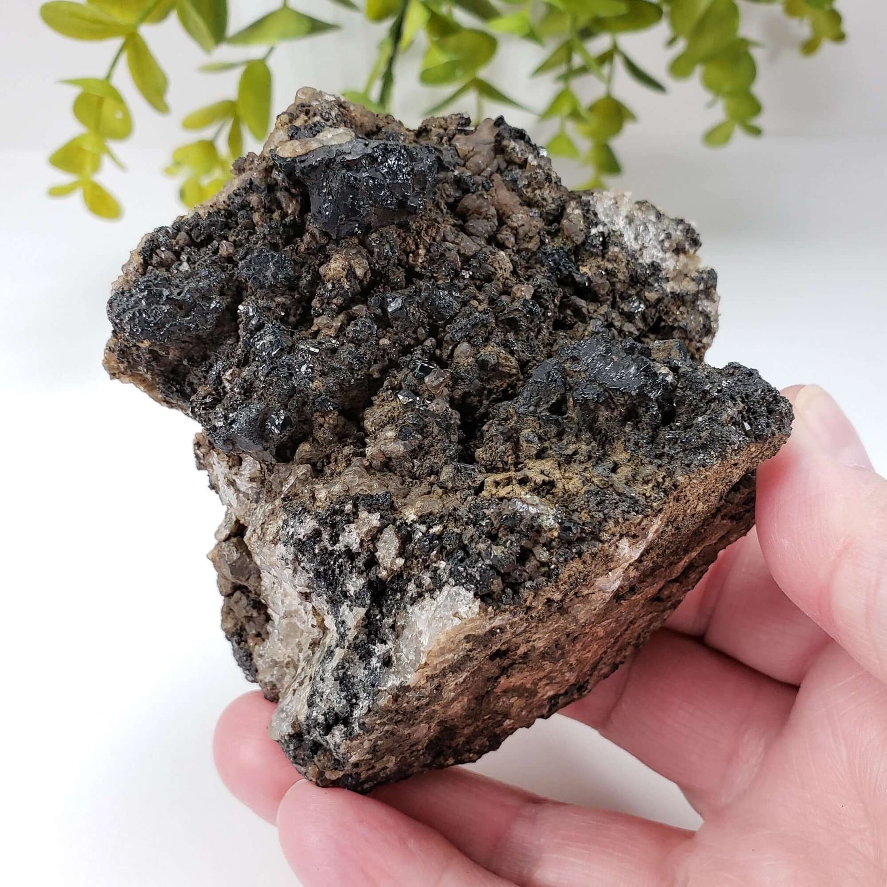  Natural Tourmaline | Raw Tourmaline Crystal | 352 grams | Tait Farm, Bancroft, Ontario Canada | SO24 4