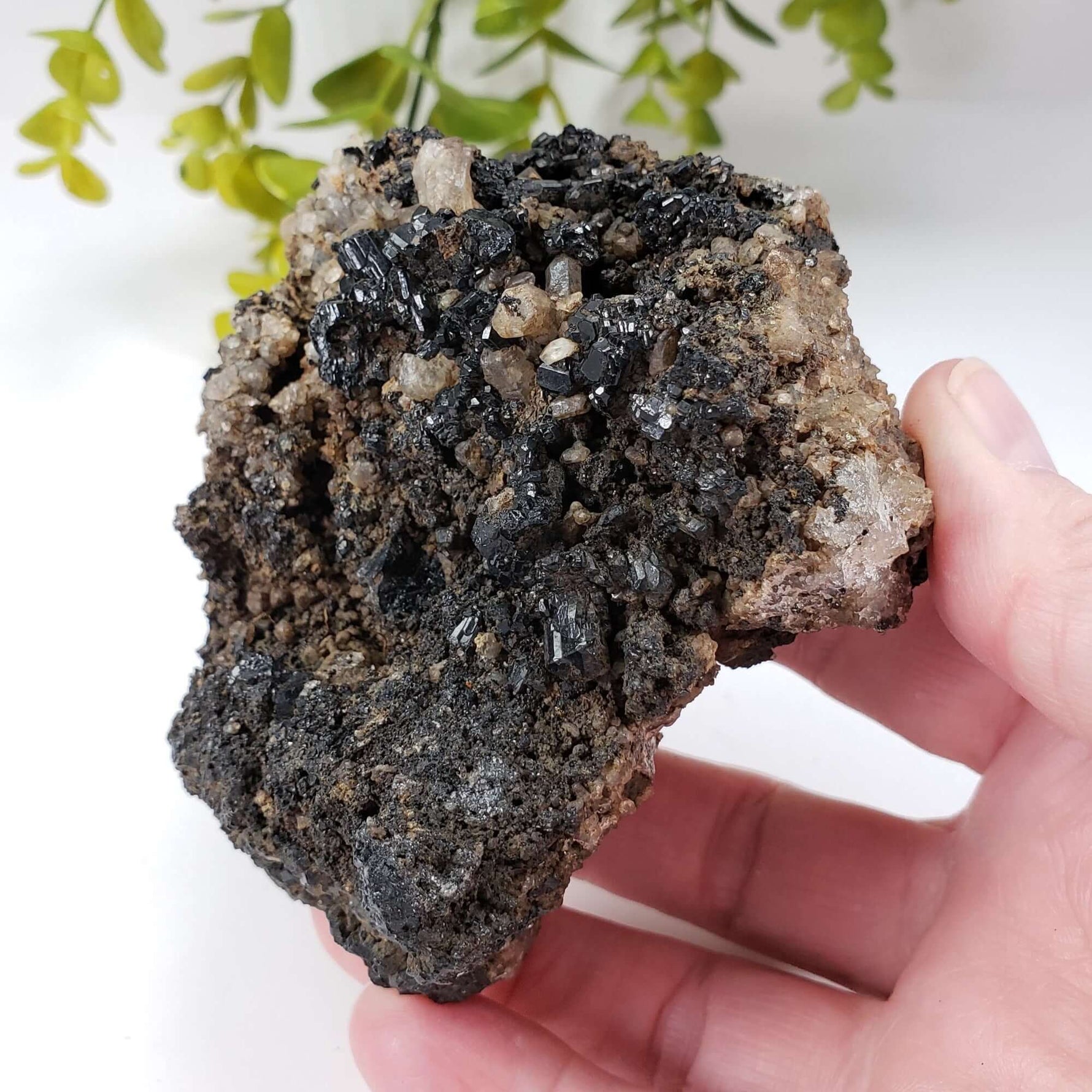  Natural Tourmaline | Raw Tourmaline Crystal | 352 grams | Tait Farm, Bancroft, Ontario Canada | SO24 5