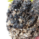  Natural Tourmaline | Raw Tourmaline Crystal | 352 grams | Tait Farm, Bancroft, Ontario Canada | SO24 6