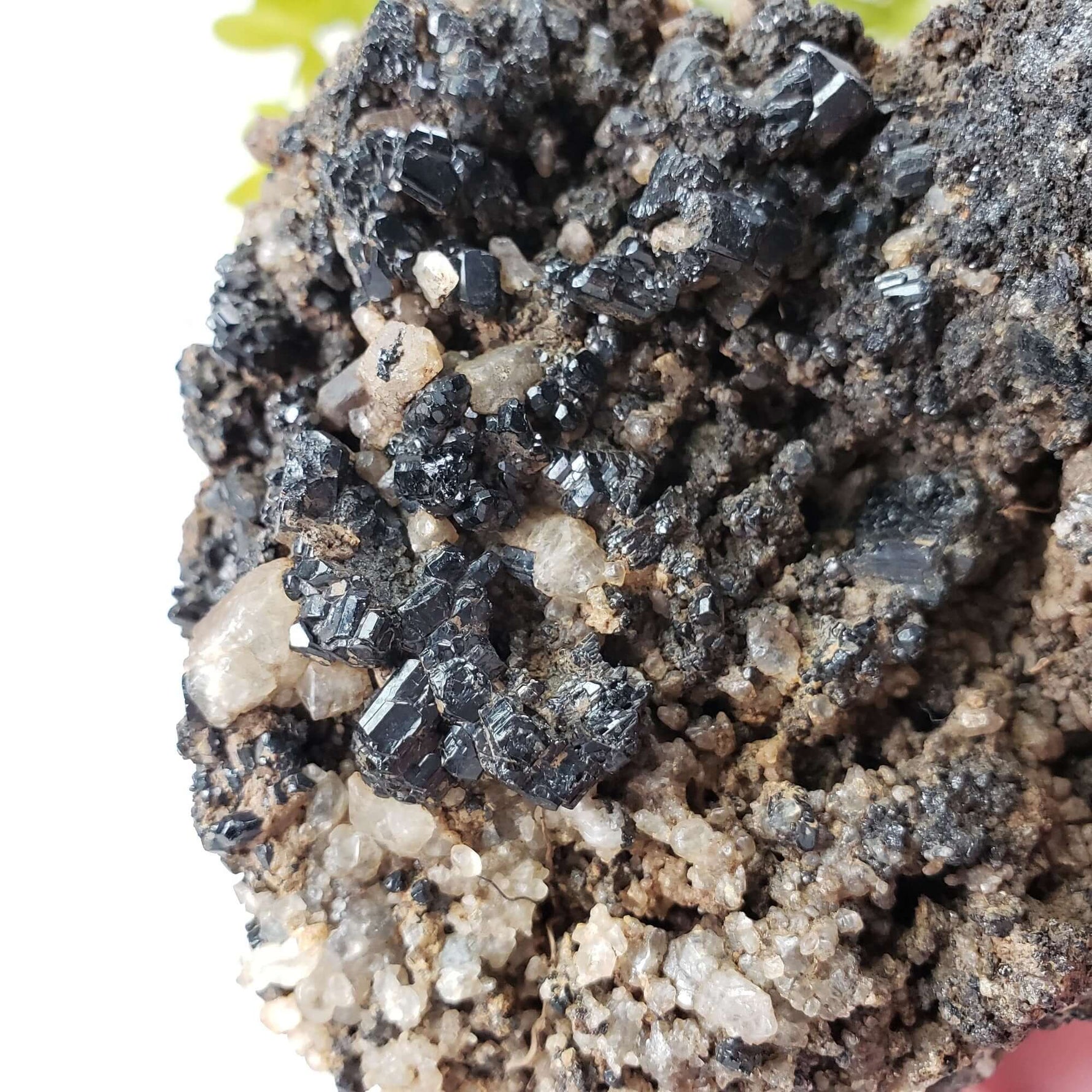  Natural Tourmaline | Raw Tourmaline Crystal | 352 grams | Tait Farm, Bancroft, Ontario Canada | SO24 6