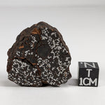  Northwest Africa Meteorite | 38.5 Gr | End Cut | Stony Iron Mesosiderite | Morocco SO24 