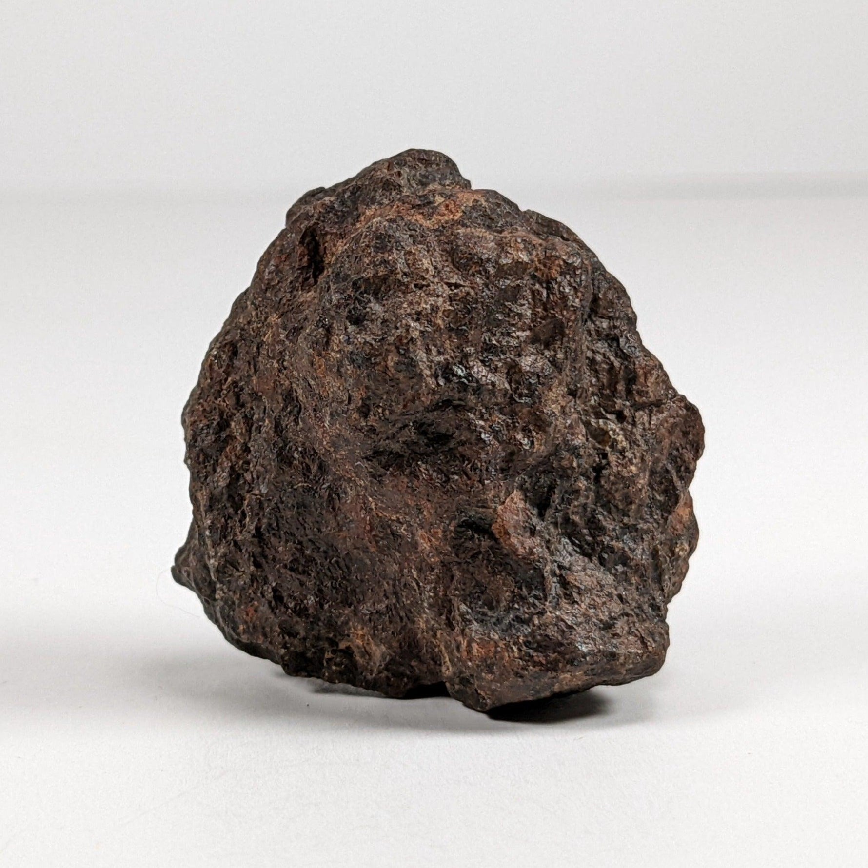  Northwest Africa Meteorite | 38.5 Gr | End Cut | Stony Iron Mesosiderite | Morocco SO24 1