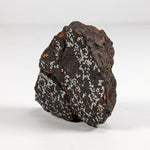  Northwest Africa Meteorite | 38.5 Gr | End Cut | Stony Iron Mesosiderite | Morocco SO24 2