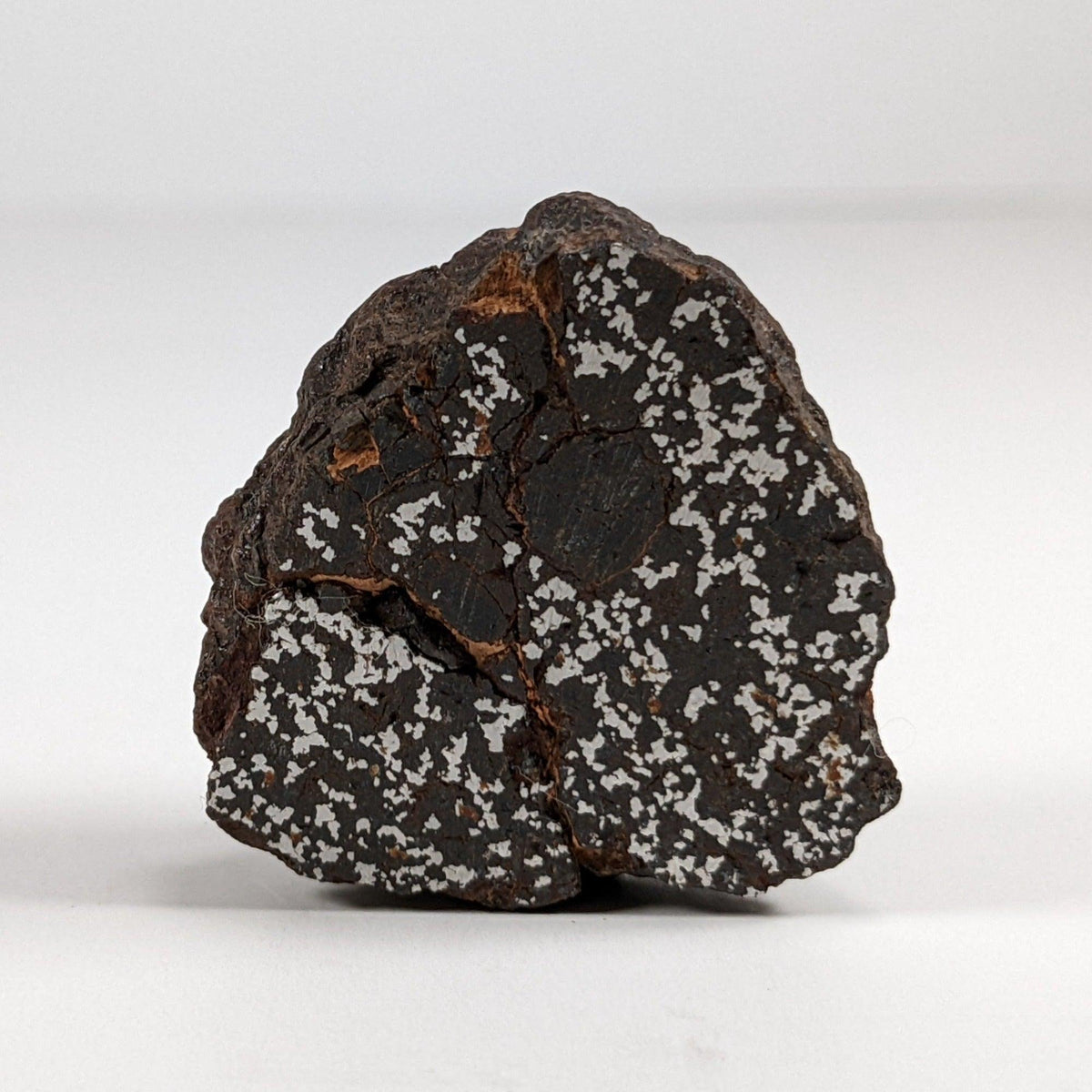  Northwest Africa Meteorite | 38.5 Gr | End Cut | Stony Iron Mesosiderite | Morocco SO24 4