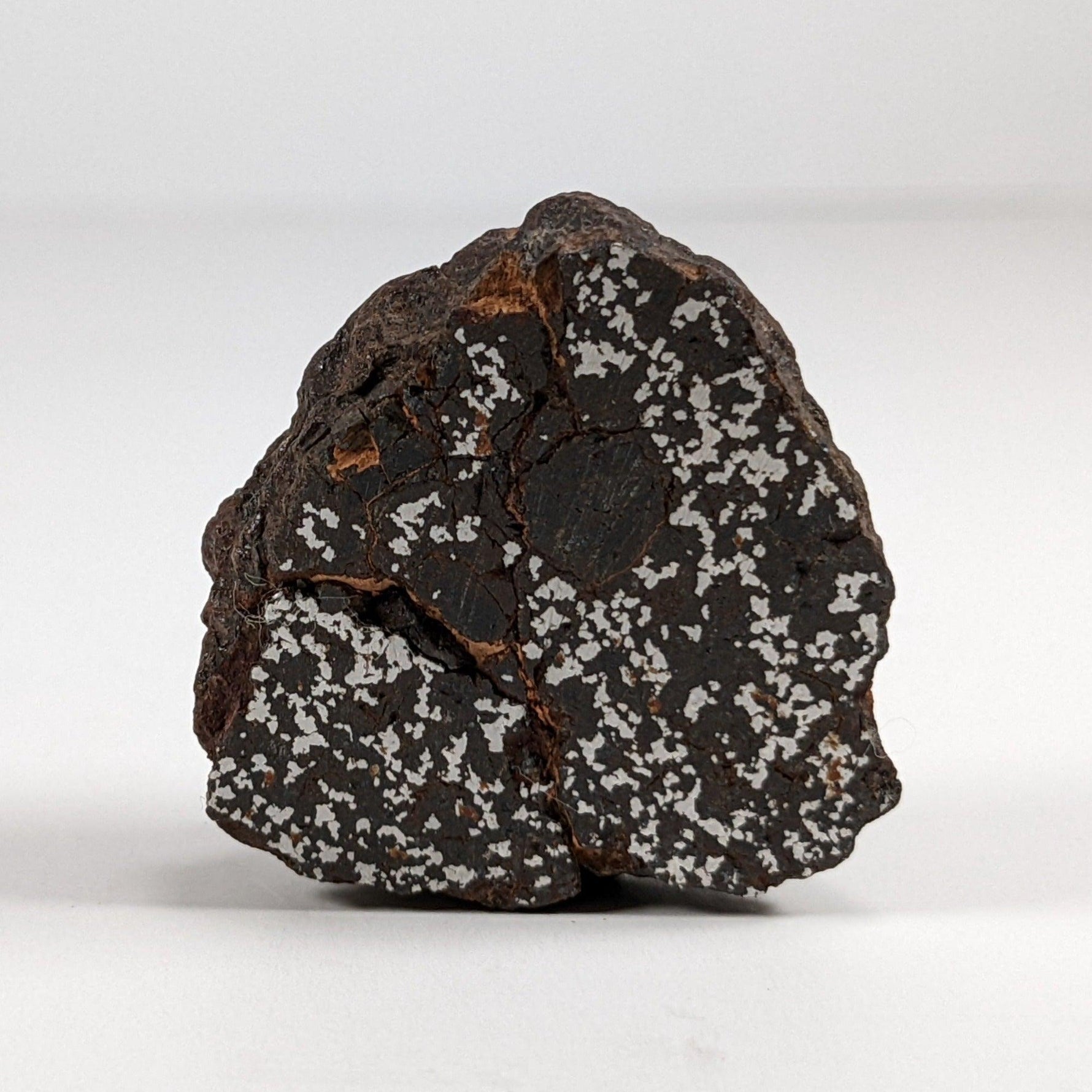  Northwest Africa Meteorite | 38.5 Gr | End Cut | Stony Iron Mesosiderite | Morocco SO24 4