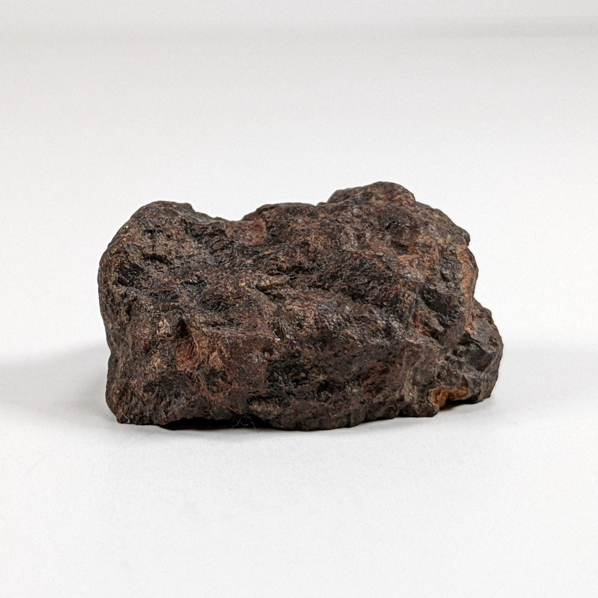  Northwest Africa Meteorite | 38.5 Gr | End Cut | Stony Iron Mesosiderite | Morocco SO24 8