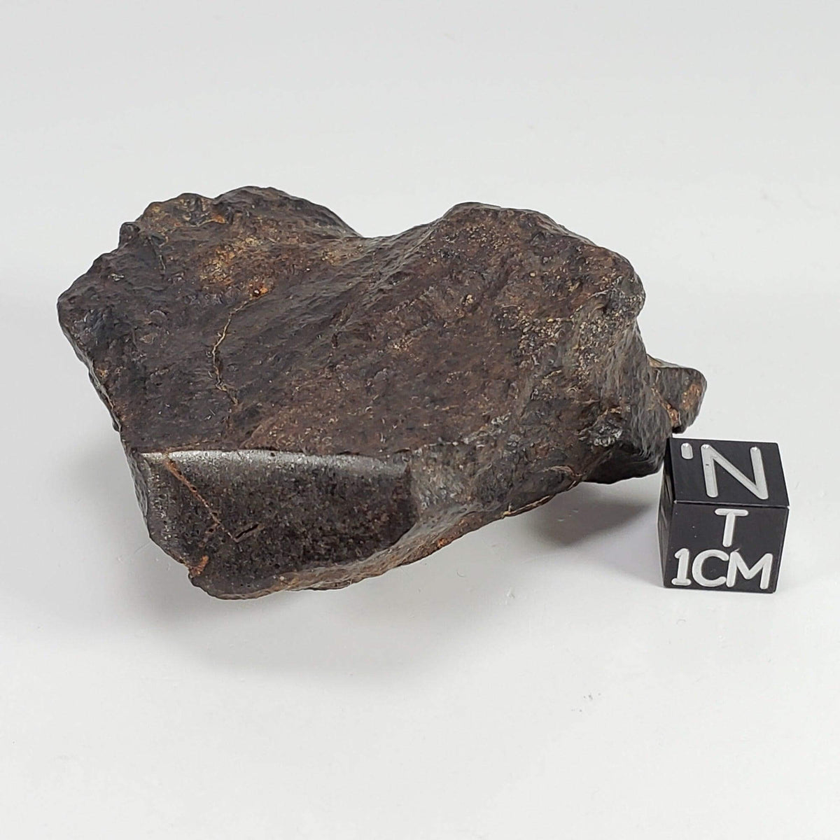  Northwest Africa NWA Meteorite | 102 Grams | Individual Cut Fragment | Sahara 