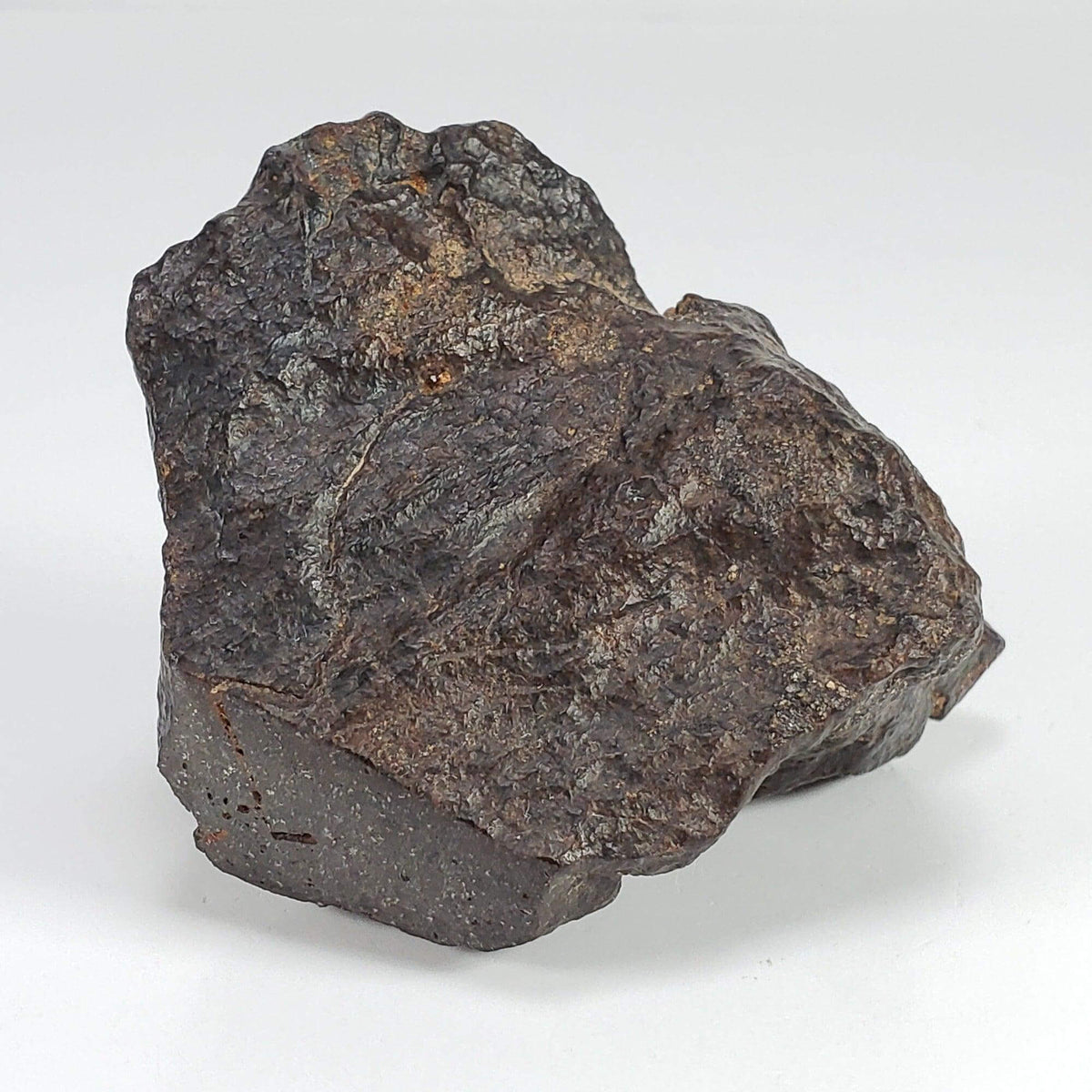  Northwest Africa NWA Meteorite | 102 Grams | Individual Cut Fragment | Sahara 1