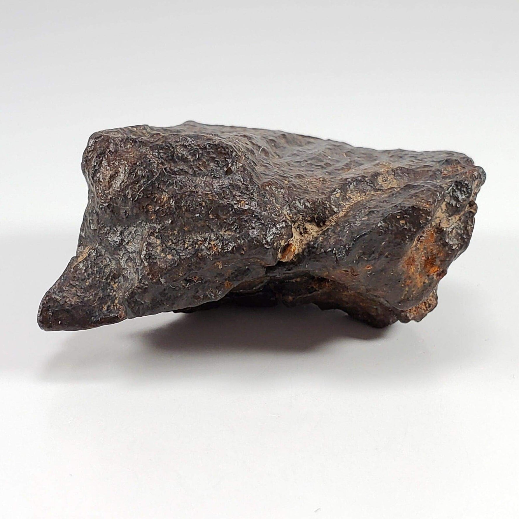  Northwest Africa NWA Meteorite | 102 Grams | Individual Cut Fragment | Sahara 7