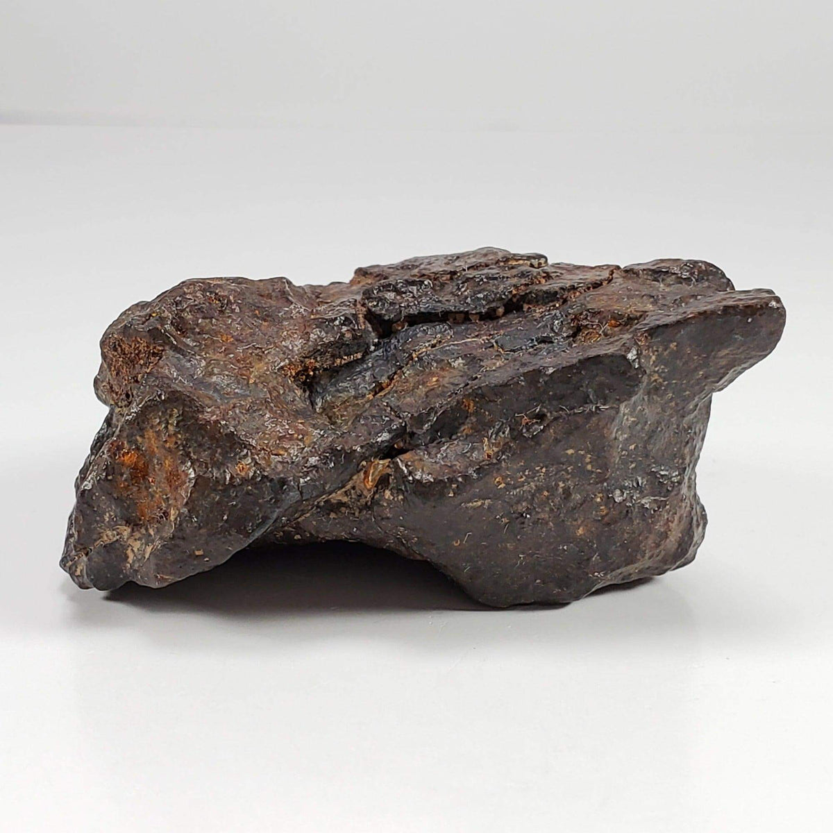  Northwest Africa NWA Meteorite | 102 Grams | Individual Cut Fragment | Sahara 8