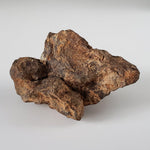  Northwest Africa NWA Meteorite | 108.23 Grams | Individual Fragment | Sahara 1