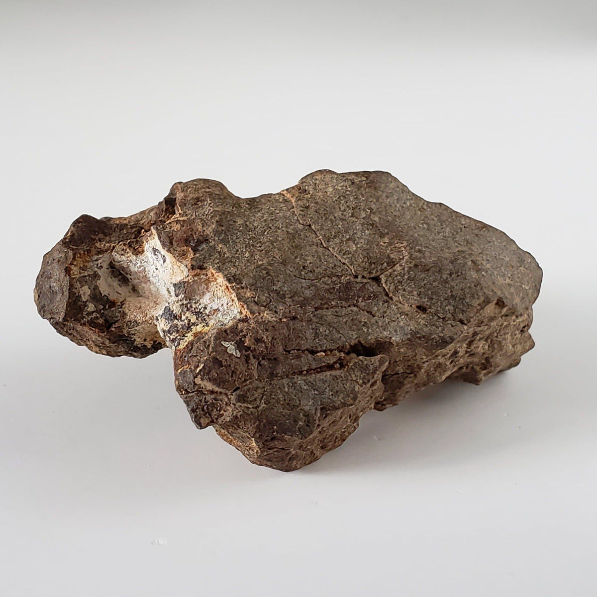  Northwest Africa NWA Meteorite | 108.23 Grams | Individual Fragment | Sahara 2