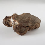  Northwest Africa NWA Meteorite | 108.23 Grams | Individual Fragment | Sahara 2